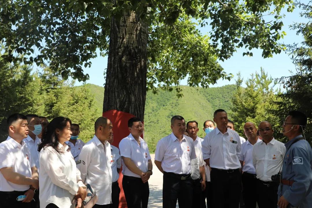 1624680962169983.jpeg 3.jpg