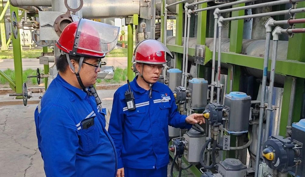 1734055310663591.jpeg 2.jpg