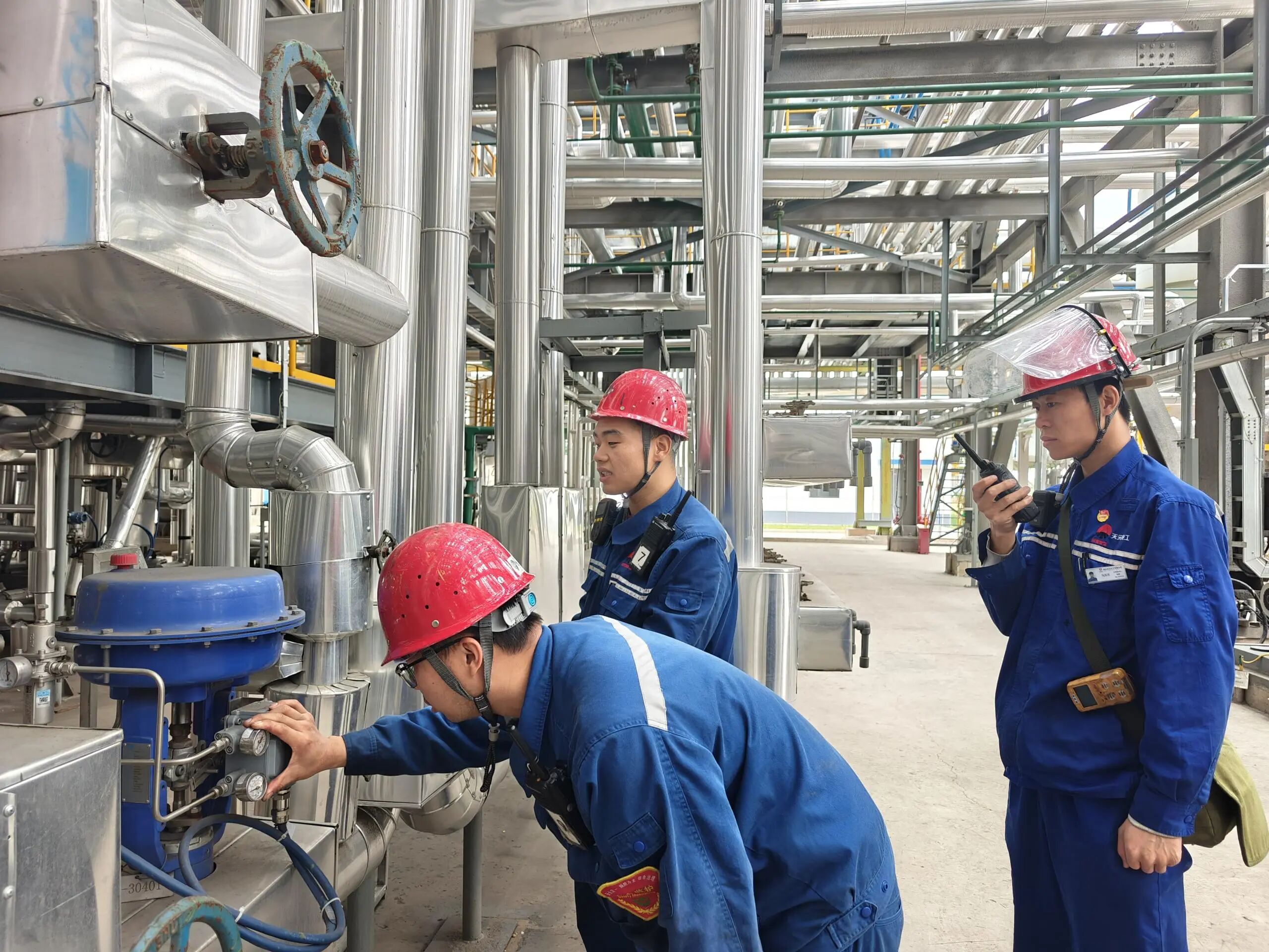 1767087863482895.jpeg 3.jpg