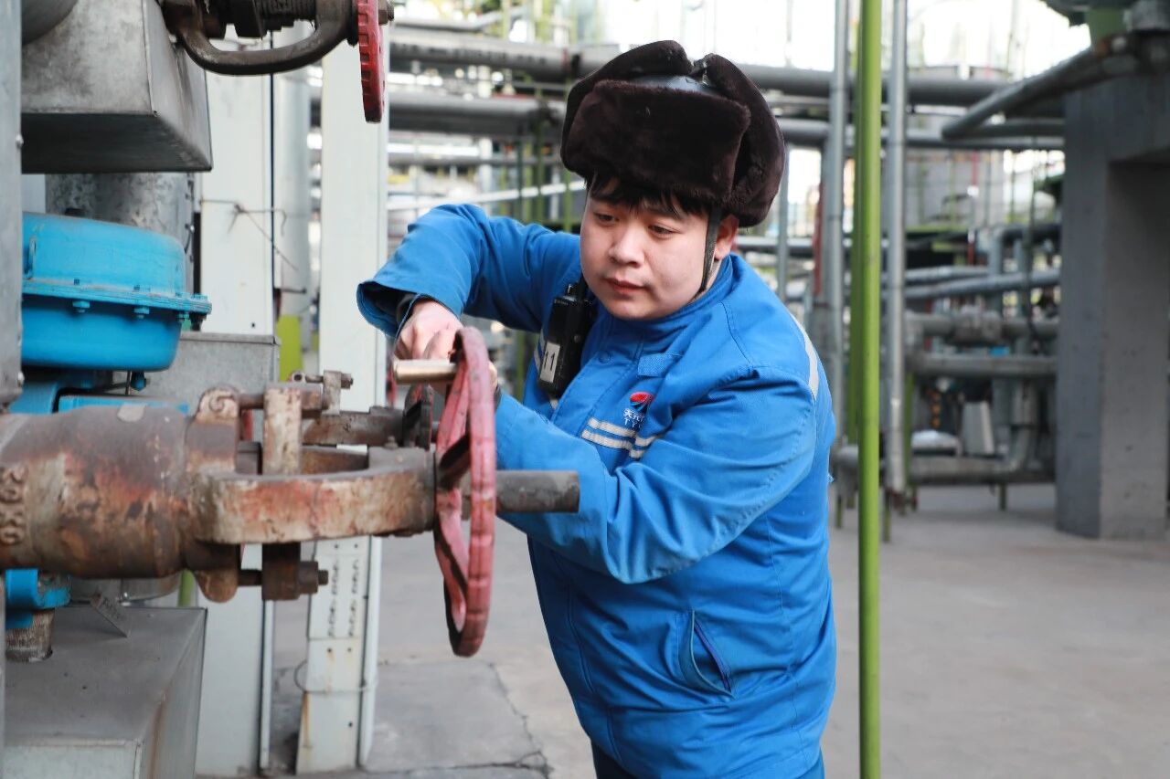 1767494268138986.jpeg 10.jpg