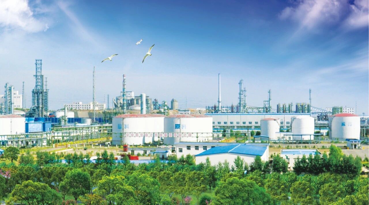 1774314918532215.jpeg 0.01.jpg